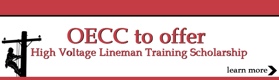 Lineman Training Scholarship