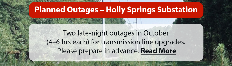 Planned Outages
