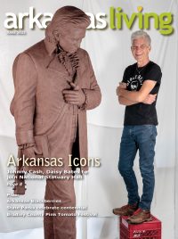 Link to current Arkansas Living magazine