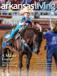 Link to current Arkansas Living magazine