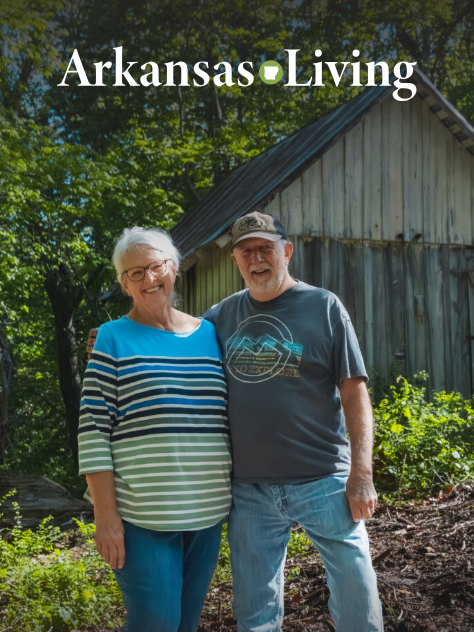 Link to current Arkansas Living magazine