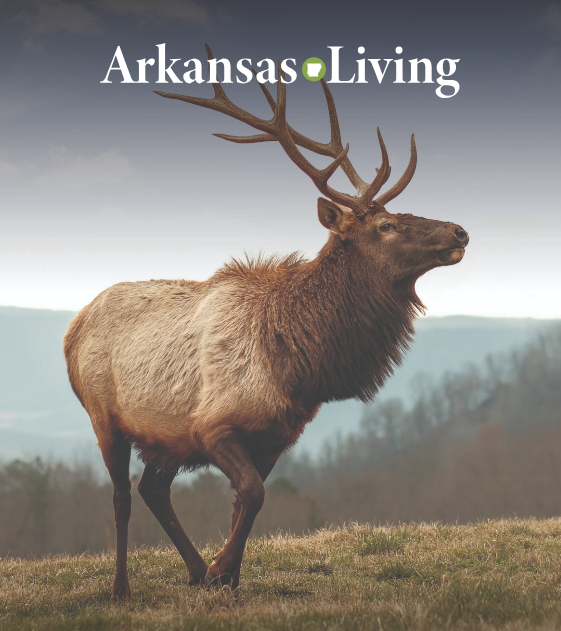 Link to current Arkansas Living magazine