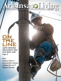 Link to current Arkansas Living magazine