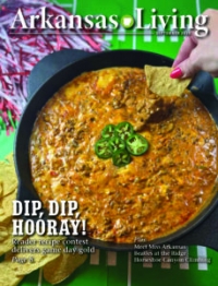 Link to current Arkansas Living magazine