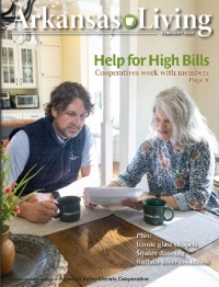 Link to current Arkansas Living magazine