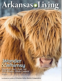 Link to current Arkansas Living magazine