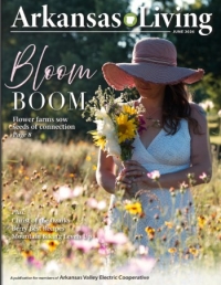 Link to current Arkansas Living magazine