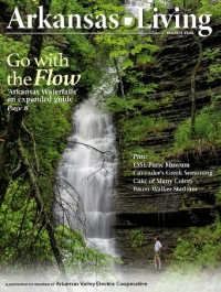 Link to current Arkansas Living magazine