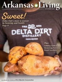 Link to current Arkansas Living magazine